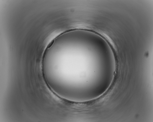 X0000092061285200709191134