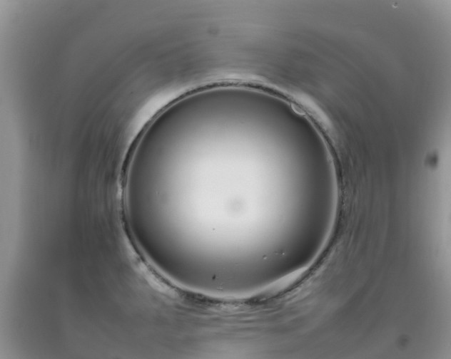 X0000092061287200709191134