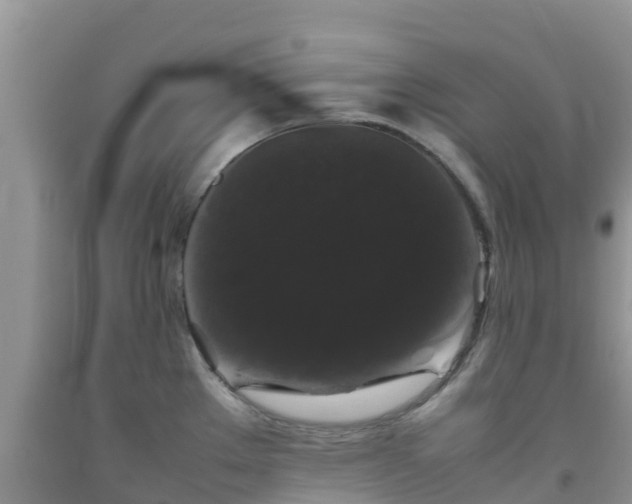 X0000092061289200709191133