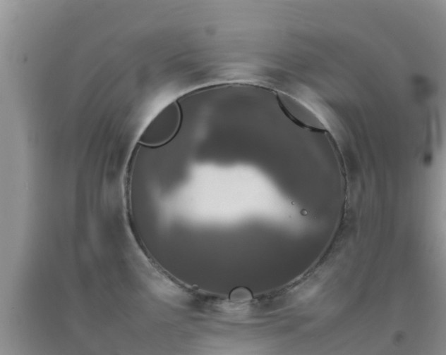 X0000092061291200709191133