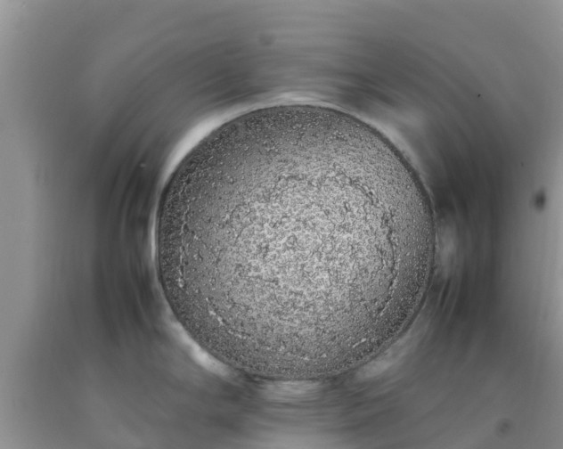 X0000092061294200709191133