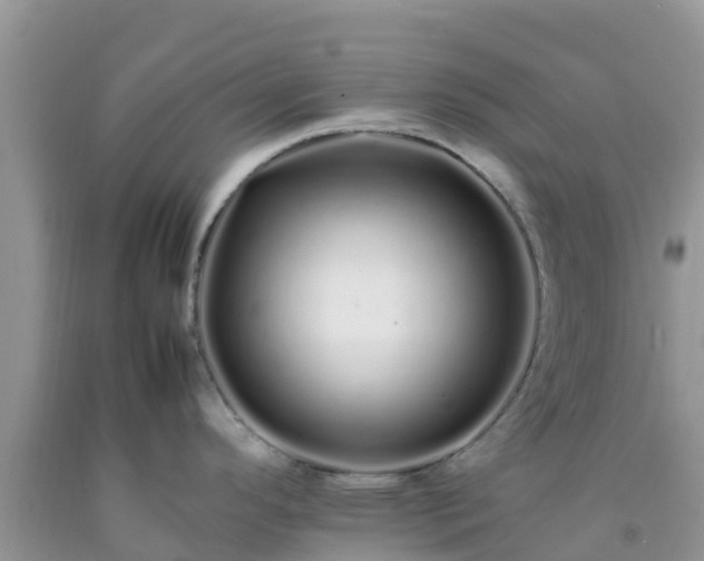 X0000092061296200709191133