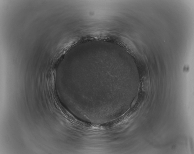 X0000092061298200709191133