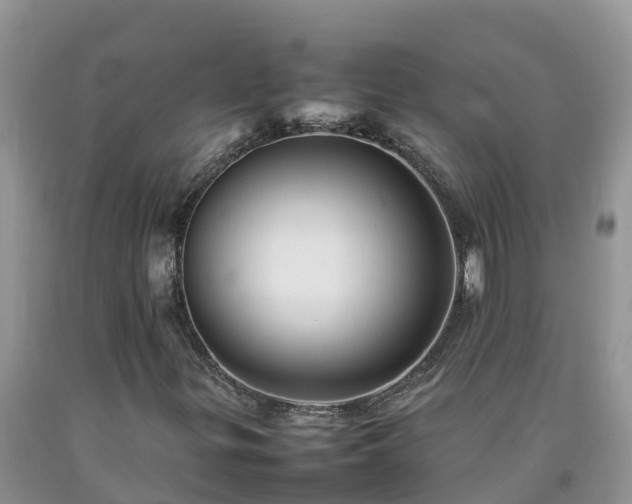 X0000092061299200709191133