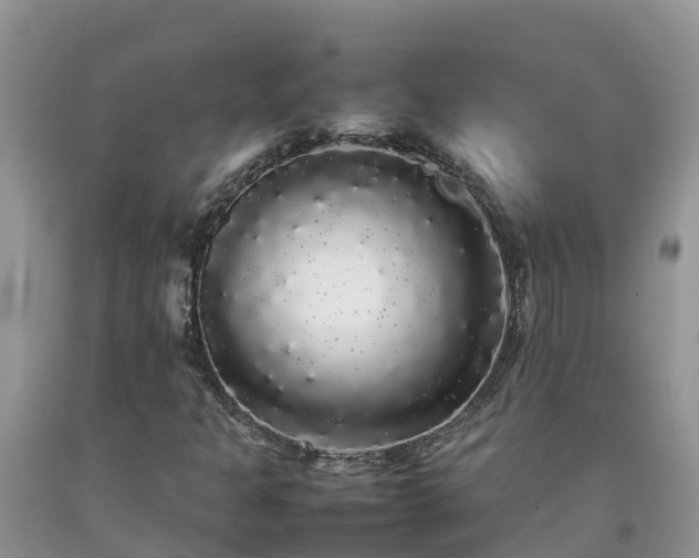 X0000092061301200709191133