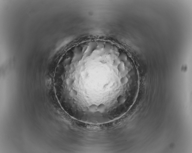 X0000092061302200709191133