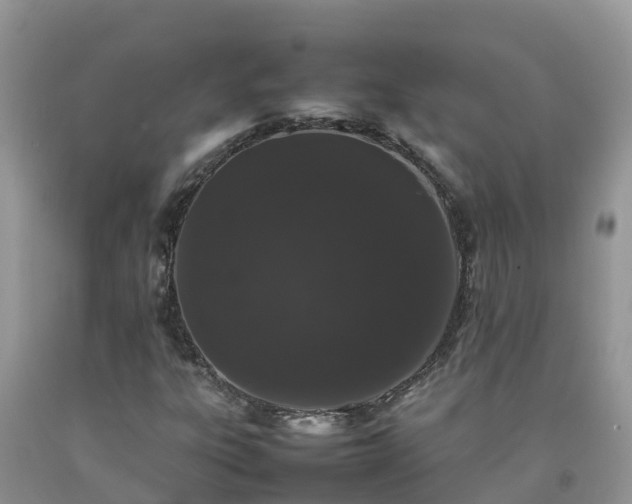 X0000092061303200709191133