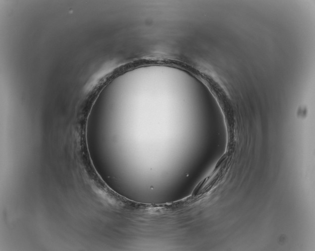 X0000092061304200709191133