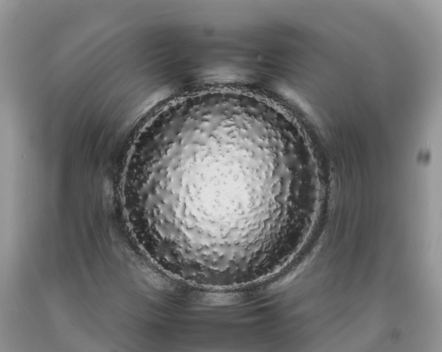 X0000092061305200709191133