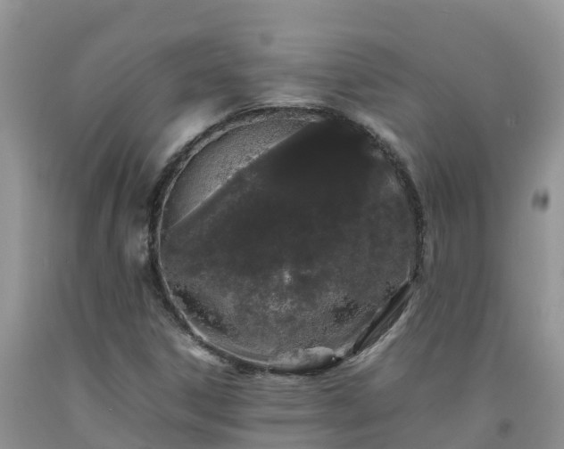 X0000092061306200709191133