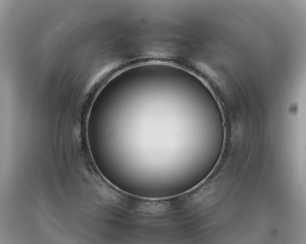 X0000092061307200709191133