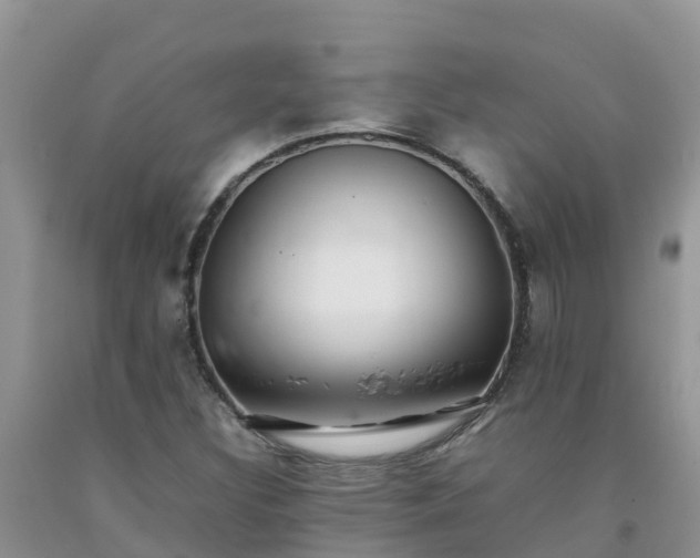 X0000092061308200709191133