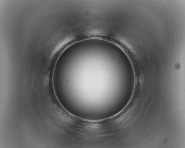 X0000092061309200709191133