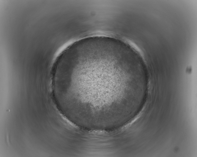 X0000092061310200709191133