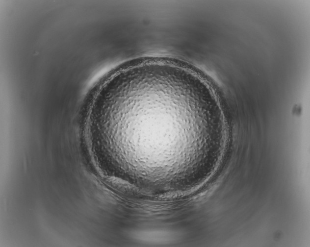 X0000092061311200709191133