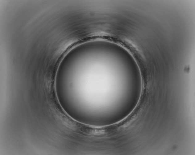 X0000092061313200709191133