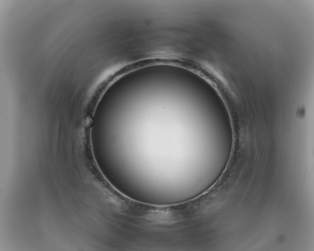 X0000092061315200709191133