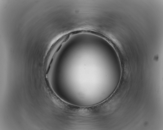 X0000092061316200709191133