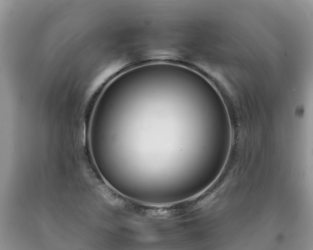 X0000092061317200709191133