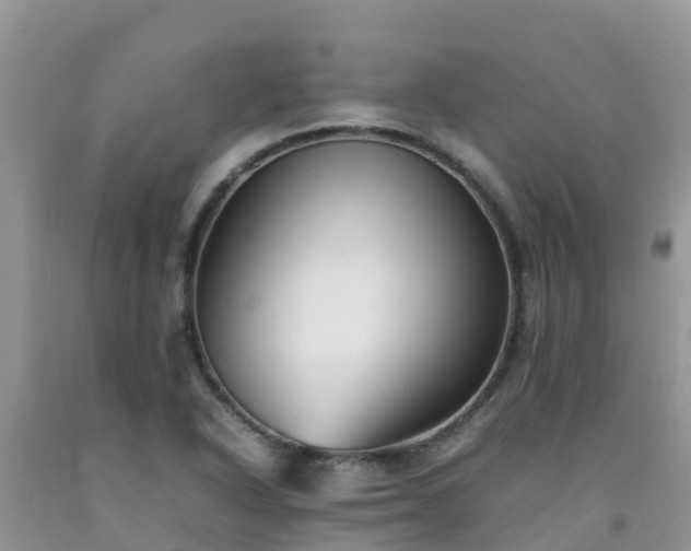 X0000092061318200709191133