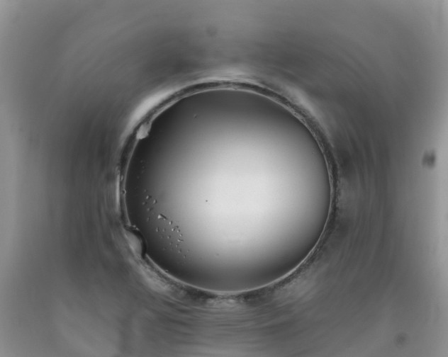 X0000092061320200709191133