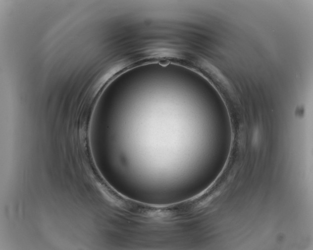 X0000092061321200709191133