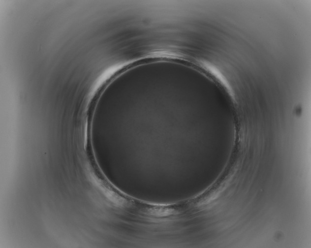 X0000092061323200709191133