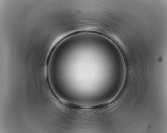 X0000092061324200709191133