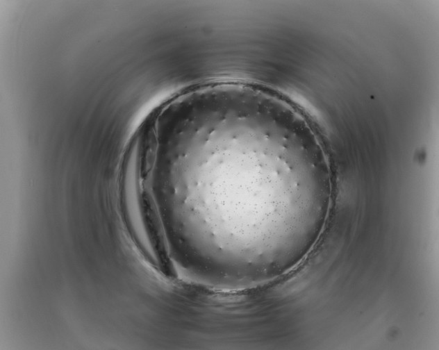 X0000092061325200709191133