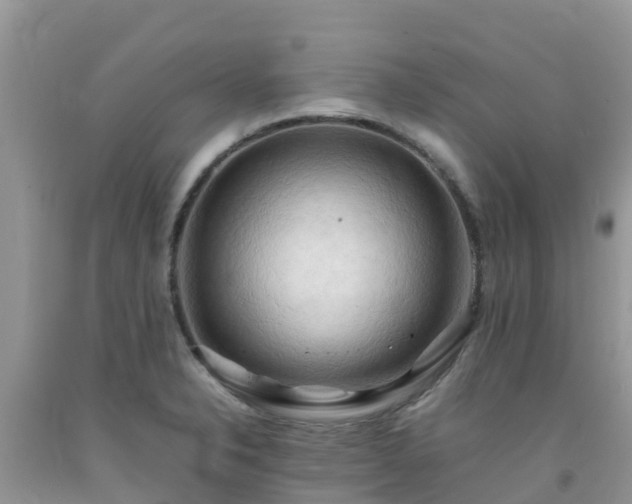 X0000092061326200709191133