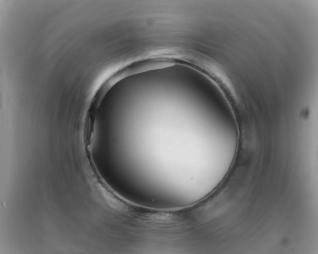 X0000092061328200709191133