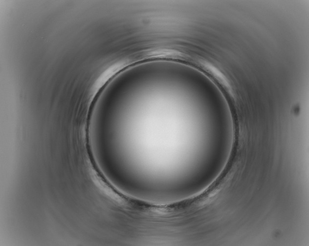 X0000092061330200709191133