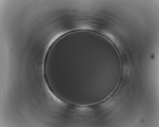 X0000092061331200709191133