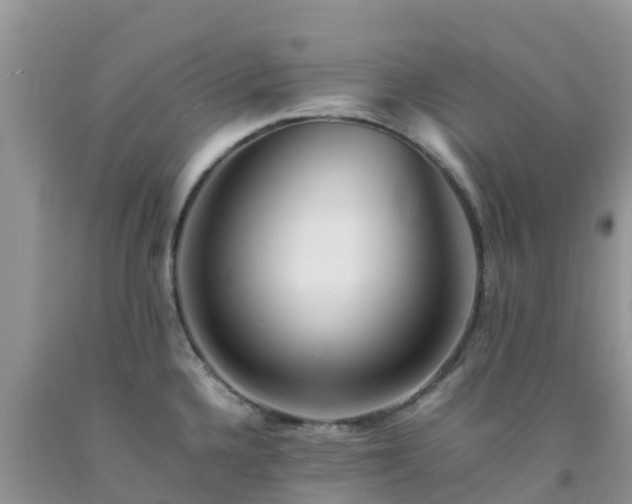 X0000092061336200709191133