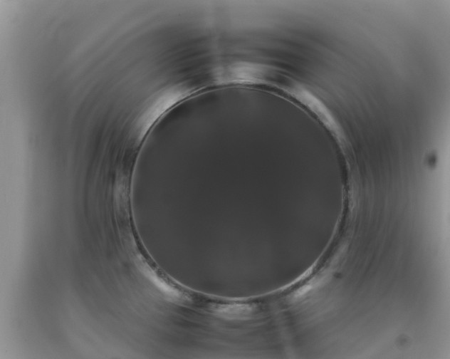 X0000092061337200709191133