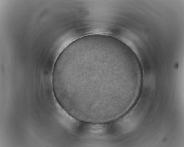 X0000092061338200709191133