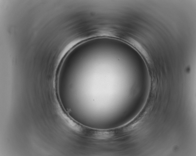 X0000092061339200709191133