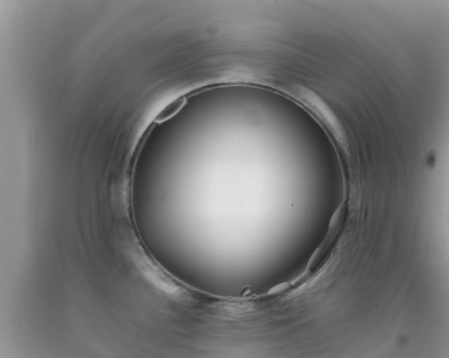 X0000092061340200709191133