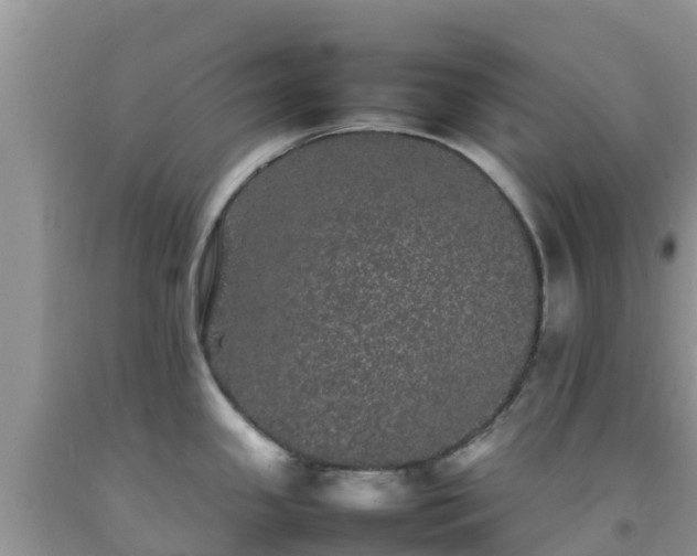 X0000092061341200709191133