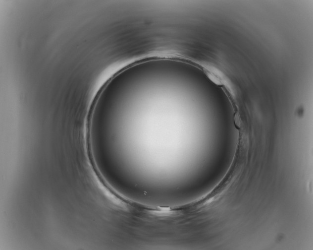 X0000092061343200709191133