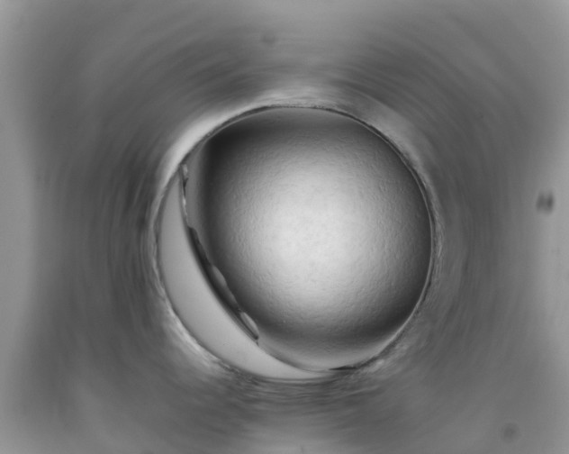 X0000092061344200709191133