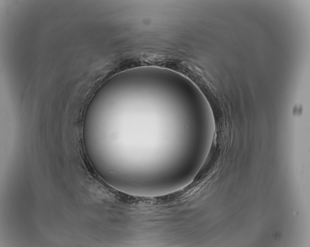 X0000092061345200709191133