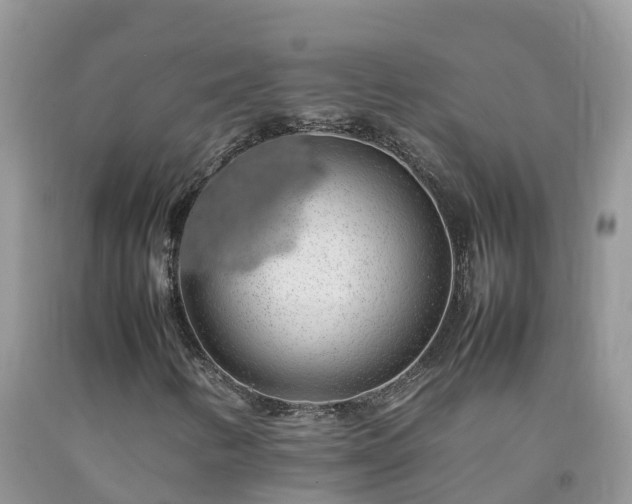 X0000092061346200709191133