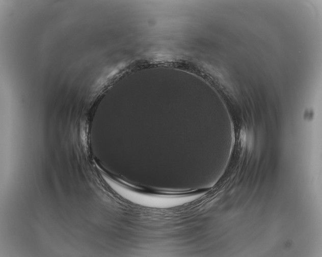 X0000092061348200709191133