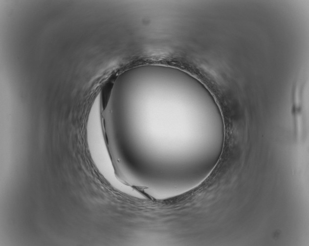 X0000092061349200709191133