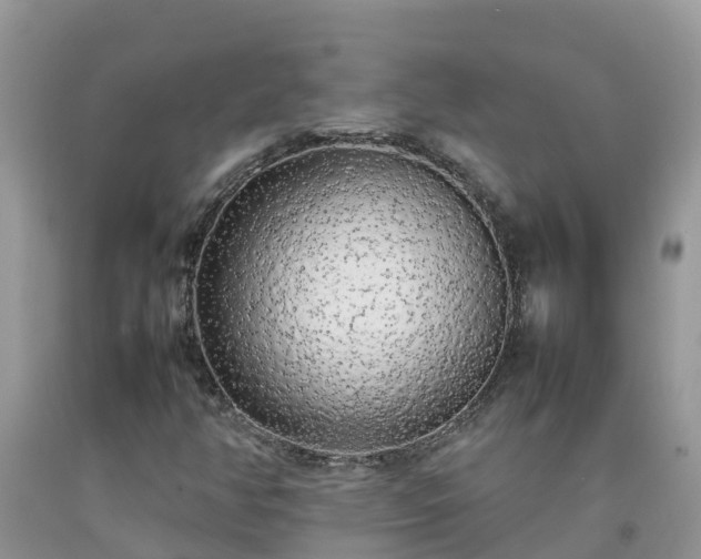 X0000092061350200709191133