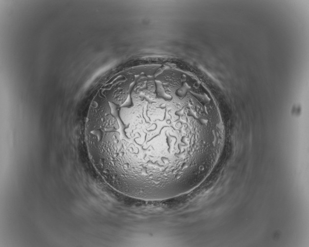 X0000092061351200709191133