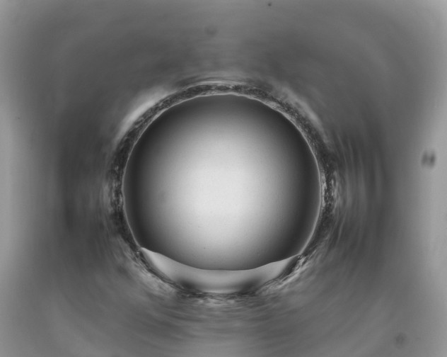 X0000092061352200709191133