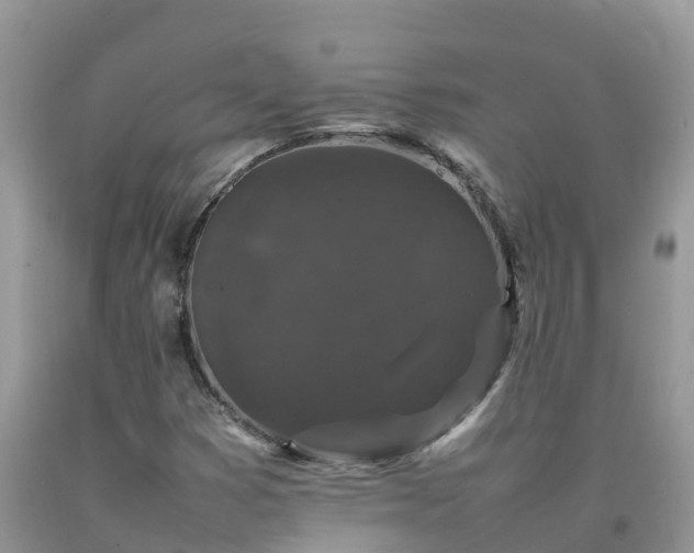 X0000092061353200709191133