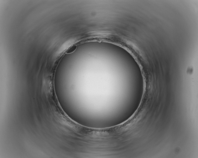 X0000092061354200709191132